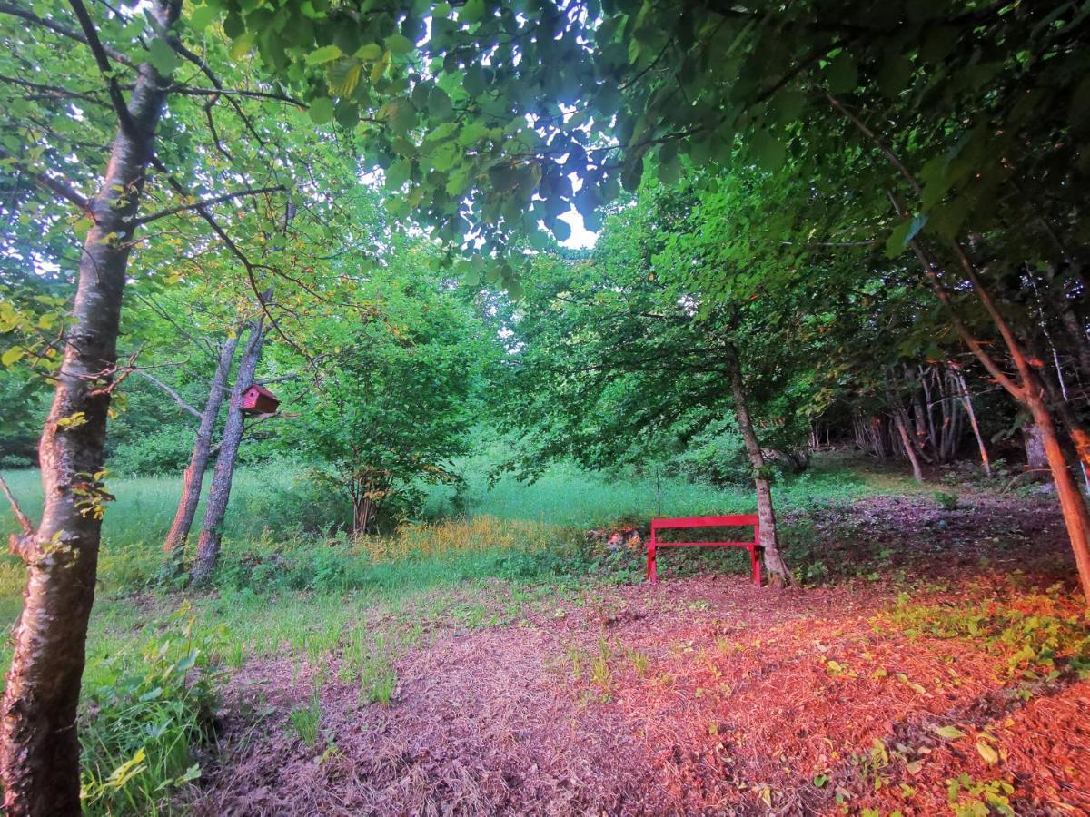 Holiday Home La Sierra コレニツァ エクステリア 写真