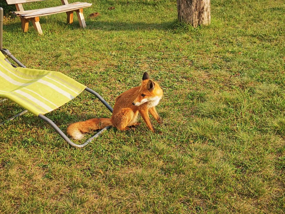 Holiday Home La Sierra コレニツァ エクステリア 写真